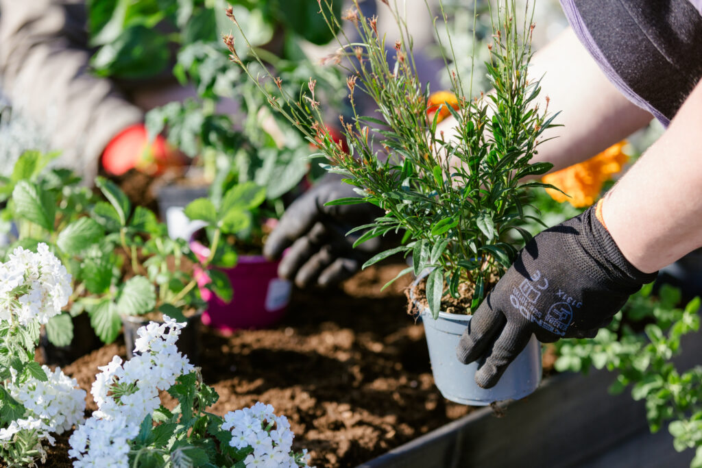 hundipea-aed-kogukonnaaed